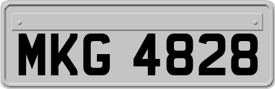 MKG4828