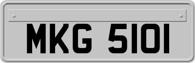 MKG5101