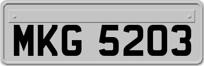 MKG5203