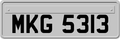 MKG5313