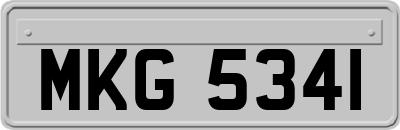 MKG5341