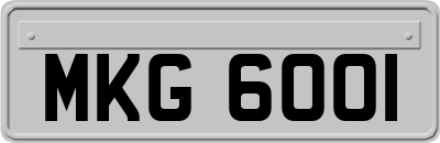 MKG6001