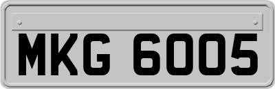 MKG6005