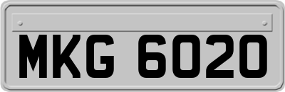 MKG6020