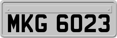MKG6023