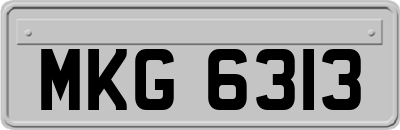 MKG6313