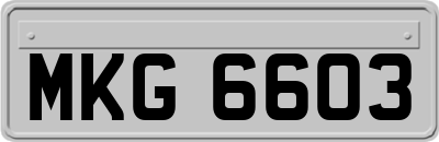 MKG6603