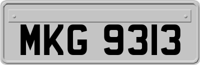 MKG9313
