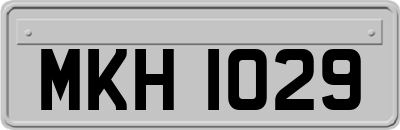 MKH1029