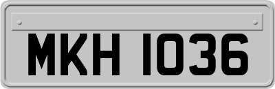 MKH1036