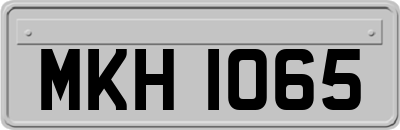 MKH1065