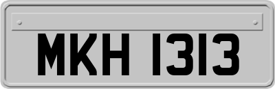 MKH1313