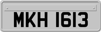 MKH1613