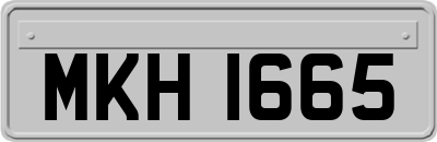 MKH1665