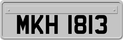 MKH1813
