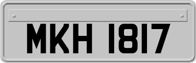 MKH1817