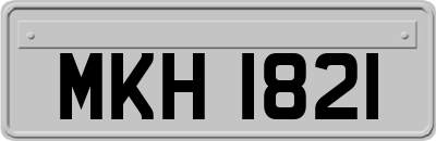 MKH1821