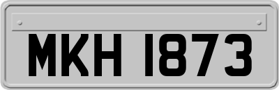 MKH1873