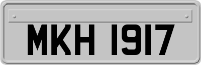 MKH1917