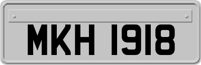 MKH1918