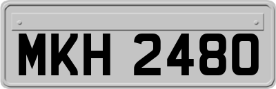 MKH2480