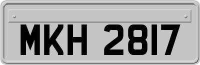 MKH2817