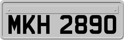 MKH2890