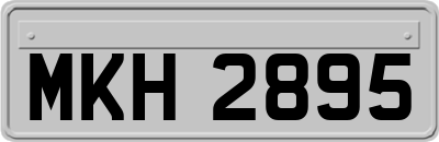 MKH2895