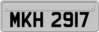 MKH2917