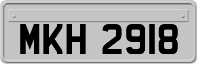 MKH2918
