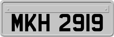 MKH2919