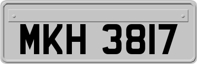 MKH3817