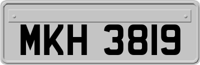 MKH3819