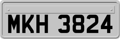MKH3824