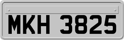 MKH3825