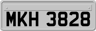 MKH3828