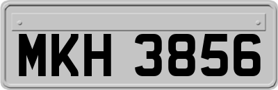 MKH3856