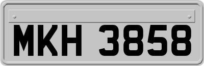 MKH3858