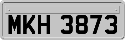 MKH3873