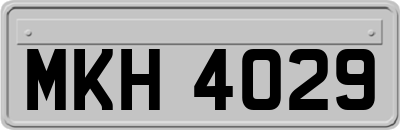 MKH4029