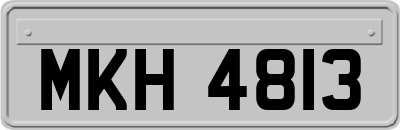 MKH4813