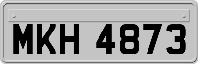 MKH4873