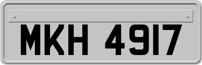 MKH4917