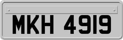 MKH4919