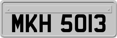 MKH5013