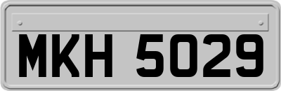 MKH5029