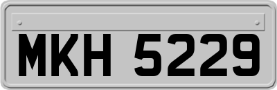MKH5229