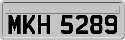 MKH5289