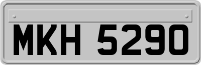 MKH5290