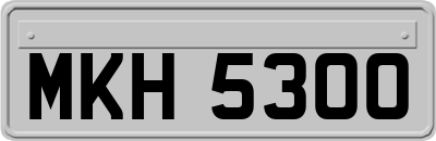 MKH5300